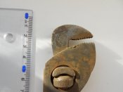 DSCN3410.JPG