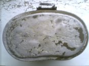 Foto_0696.jpg