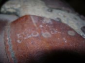 DSC07139.JPG