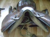 DSC07146.JPG