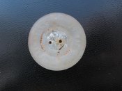 IMG_3292.jpg
