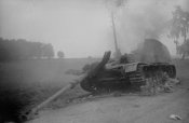 «Nashorn» (Sd.Kfz. 164). Р-н Дрогобыча, 1944 г..jpg