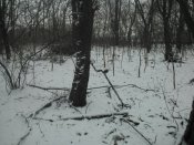 WP_000157.jpg