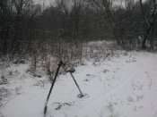WP_000159.jpg