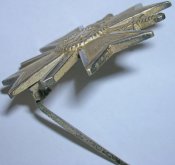 DSCN2670.jpg