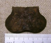 корона (4).JPG