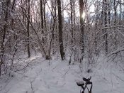 DSCN6096.JPG