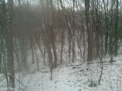 IMG_20161202_111803.jpg