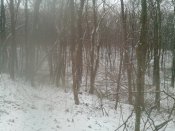 IMG_20161202_111817.jpg