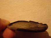 PB041524.JPG