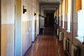 IMG_9270.JPG