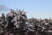 IMG_7684.JPG
