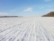 PC050012.JPG