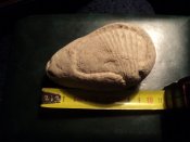 DSC09854.JPG