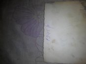 IMG_20161203_212301.jpg