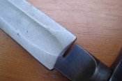 DSC07205.jpg