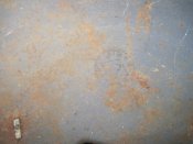IMG_3953.JPG