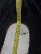 DSCN1488.jpg