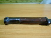 DSCN5516.jpg