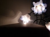 IMG_20161208_204008939.jpg
