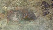 20161207_115614.jpg