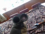 DSC07870_thumb.jpg