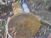 a_080810_163010.jpg