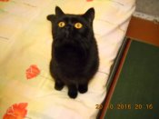 DSCN2086.JPG