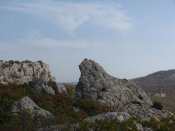 IMG_5254.jpg