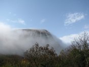 IMG_5243.jpg