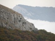 IMG_5333.jpg