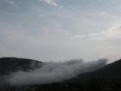 IMG_5231.jpg