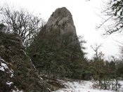 IMG_6687.jpg