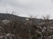 IMG_6555.jpg