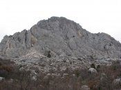IMG_6556.jpg