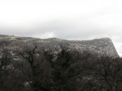 IMG_6567.jpg