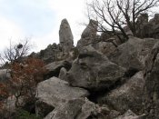 IMG_6557.jpg