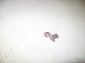 IMG_1726.jpg