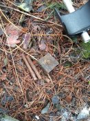 20161211_141213.jpg