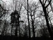 IMG_20161211_141247.jpg