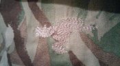 IMG_20161211_173643.jpg