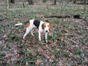 IMG_20161211_114745[1].jpg