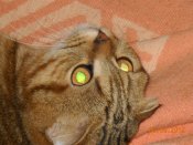 DSCN0116.JPG