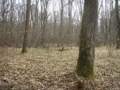 PA105134.JPG