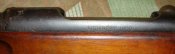 DSC00177.JPG
