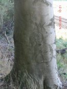 CIMG5881_thumb.jpg