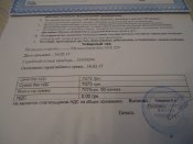 DSC08297.JPG