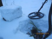 IMG_7919[2].JPG