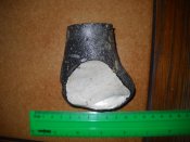 DSCN2190.JPG