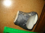 DSCN2182.JPG